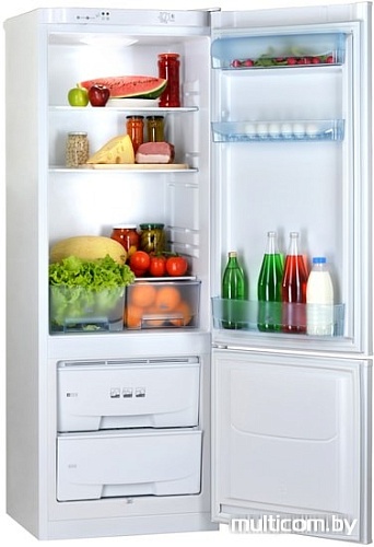 Холодильник POZIS RK-102 (красный)