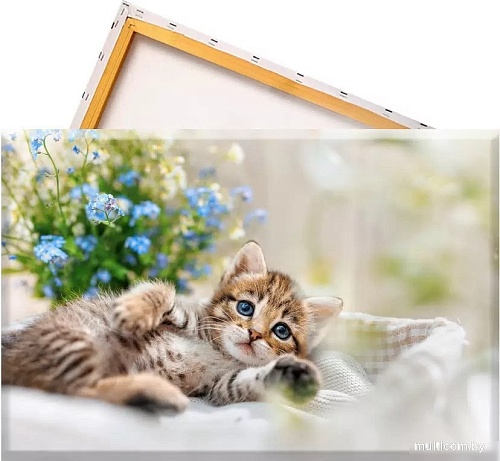 Solmax&Creators Котенок SM98458