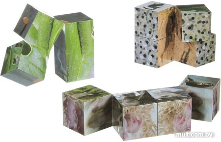 Набор для опытов Bondibon Науки с Буки Тайны природы ВВ1453