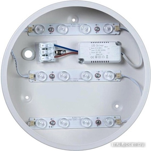 Люстра-тарелка LOFT IT Axel 10002/12 White