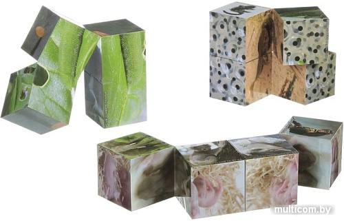 Набор для опытов Bondibon Науки с Буки Тайны природы ВВ1453