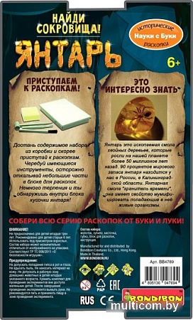 Набор для опытов Bondibon Исторические раскопки. Найди сокровища ВВ4789