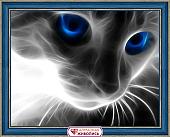 Алмазная мозаика Алмазная Живопись Кошачий взгляд АЖ-1232