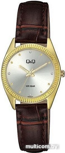 Наручные часы Q&Q QZ49J101