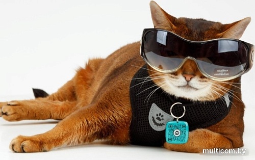 Адресник Потеряшка QR (желтый)