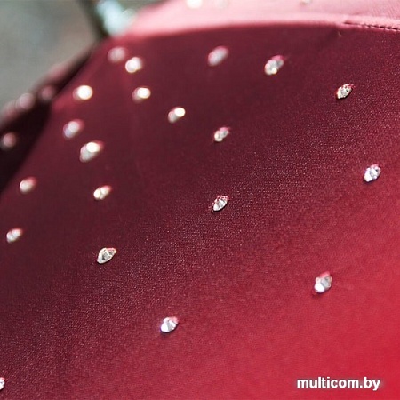 Зонт Pasotti Swarovski Rosso