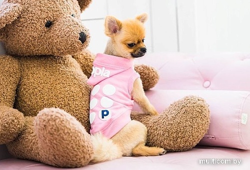 Футболка Puppia Emmy с капюшоном PARA-TS1509-PK-M (розовый)