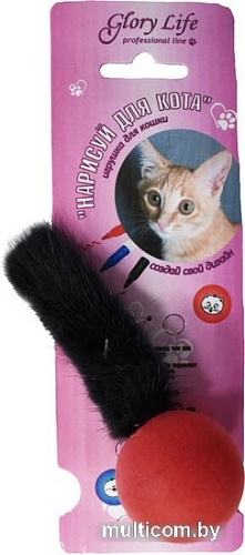 Игрушка для кошек Glory Life Нарисуй для кота лапка норки дразнилка 147250