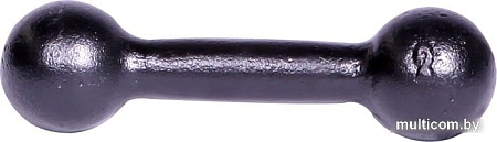 Titan литая ГЛЧ/2 2 кг