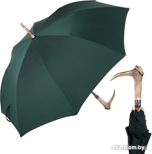 Pasotti Cervo Punto Verde