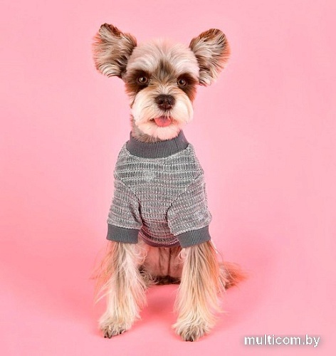 Свитер для животных Pinkaholic Elicia NASD-TS7501-GY-S (серый)