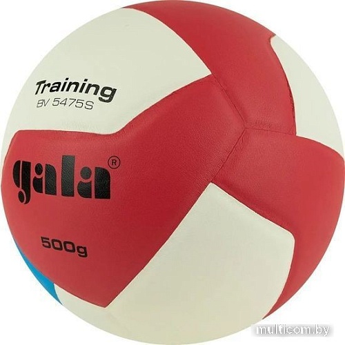 Волейбольный мяч Gala Training Heavy 12 BV 5475 S (размер 5, белый/синий)