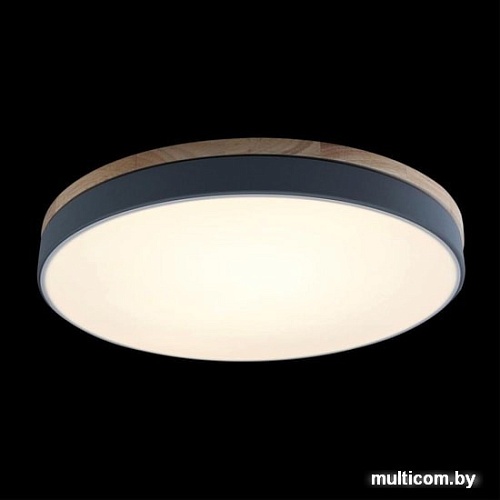 Люстра-тарелка LOFT IT Axel 10001/36 Grey