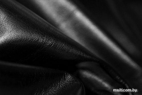 Интерьерное кресло Brioli Руди Р (L22/черный)