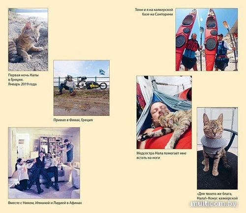 Книга издательства Азбука. Мир Налы (Николсон Д.)