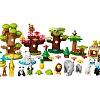 Конструктор LEGO Duplo 10975 Дикие животные мира