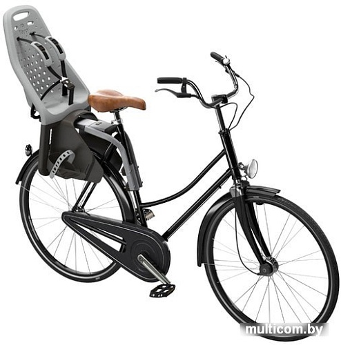 Велокресло Thule Yepp Maxi (серебристый)