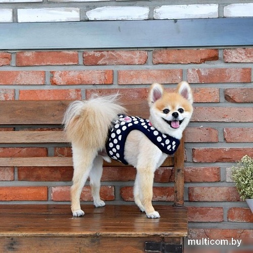 Шлейка-жилетка Pinkaholic Joceline NARD-HJ7363-NY-L (синий)