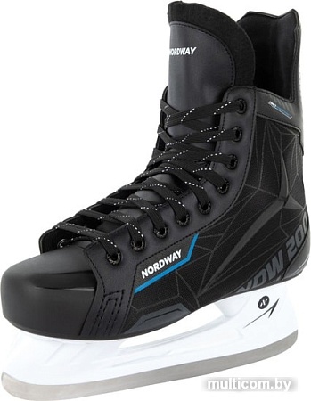 Коньки Nordway NDW200 SR (р. 41)