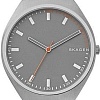 Наручные часы Skagen SKW6387