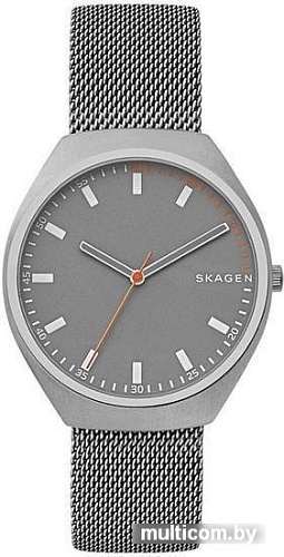 Наручные часы Skagen SKW6387