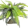 Искусственное растение Lucky Reptile Fern IF-101