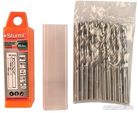 Набор оснастки Sturm 1055-04-6S5-SS10 (10 предметов)
