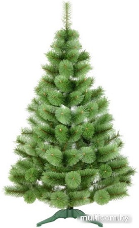 Ель Erbis Zylk 120