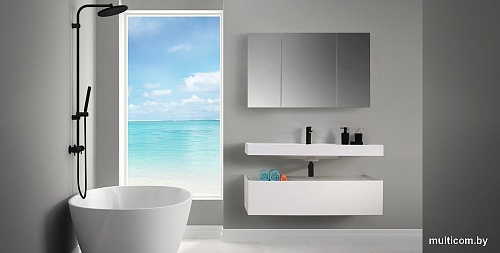 Belux Шкаф с зеркалом Триумф ВШ100 (1, белый глянец)