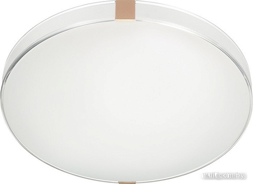 Припотолочная люстра Sonex Color 7676/EL