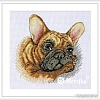 Набор для вышивания Merejka Французский бульдог K-114