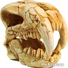 Декорация DekSi Череп динозавра №1002