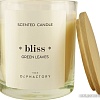 Ароматизированая свеча Ambientair Bliss Green Rhubarb VV401DLTO