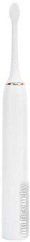 Электрическая зубная щетка Picooc T1