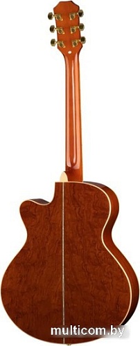 Акустическая гитара Ramis RA-C02C