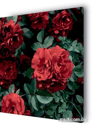 Картина Stamprint Красные розы АT040 (67x67)