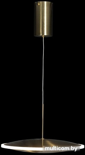 Подвесная люстра LOFT IT Ruedo 10036/300