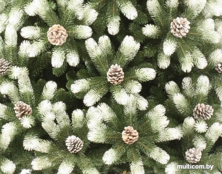 Ель Царь Елка Русская красавица заснеженная с шишками 1.2 м