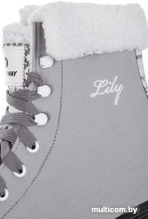 Коньки Nordway Lily Grey 20/21 (р. 36)