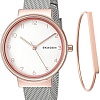 Наручные часы Skagen SKW1080