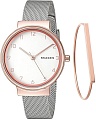 Наручные часы Skagen SKW1080