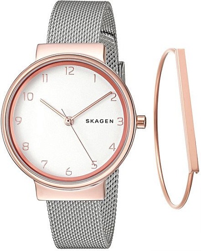 Наручные часы Skagen SKW1080