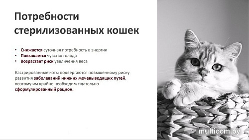 Сухой корм для кошек Landor Sterilised Adult для стерилизованных с индейкой и уткой 10 кг