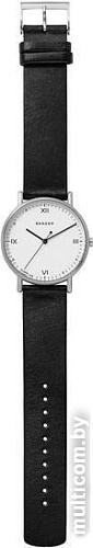 Наручные часы Skagen SKW6412