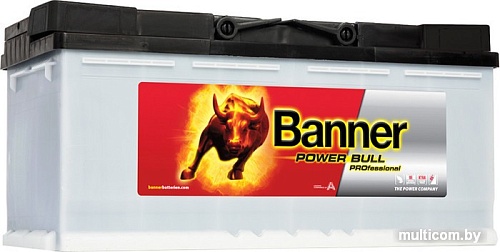 Автомобильный аккумулятор Banner Power Bull PROfessional P100 40 (100 А/ч)
