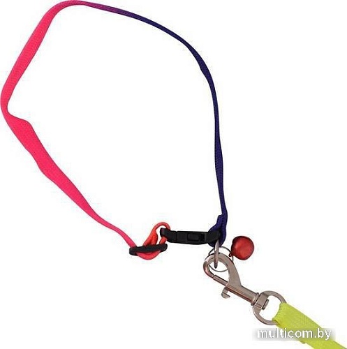 Ошейник с поводком Мультидом Радуга VL40-11 (р. S)