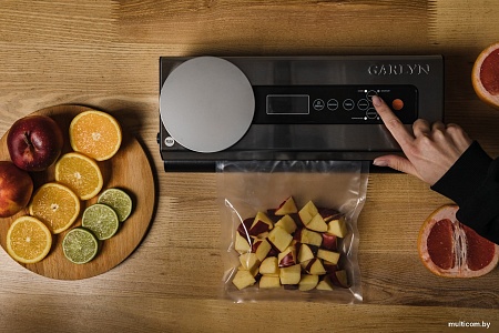 Вакуумный упаковщик Garlyn V-600