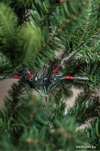 Ель Royal Christmas Bergen 971240 2.4 м