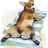 Картина по номерам Рыжий кот Корги на отдыхе Х-3867