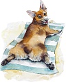 Картина по номерам Рыжий кот Корги на отдыхе Х-3867